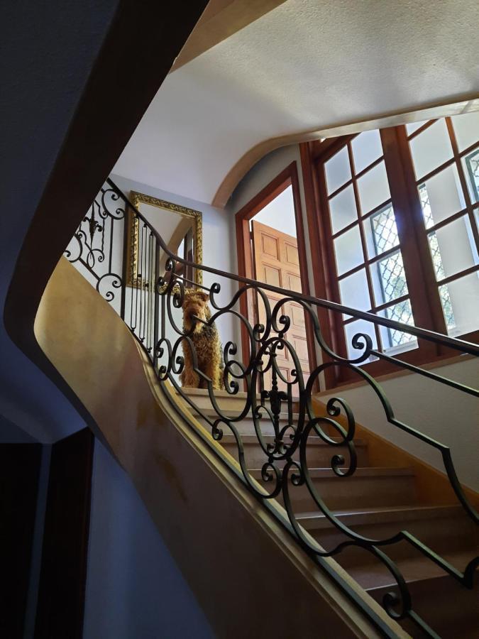 Le Clos Des Soyeux Saint-Victor-sur-Rhins Dış mekan fotoğraf