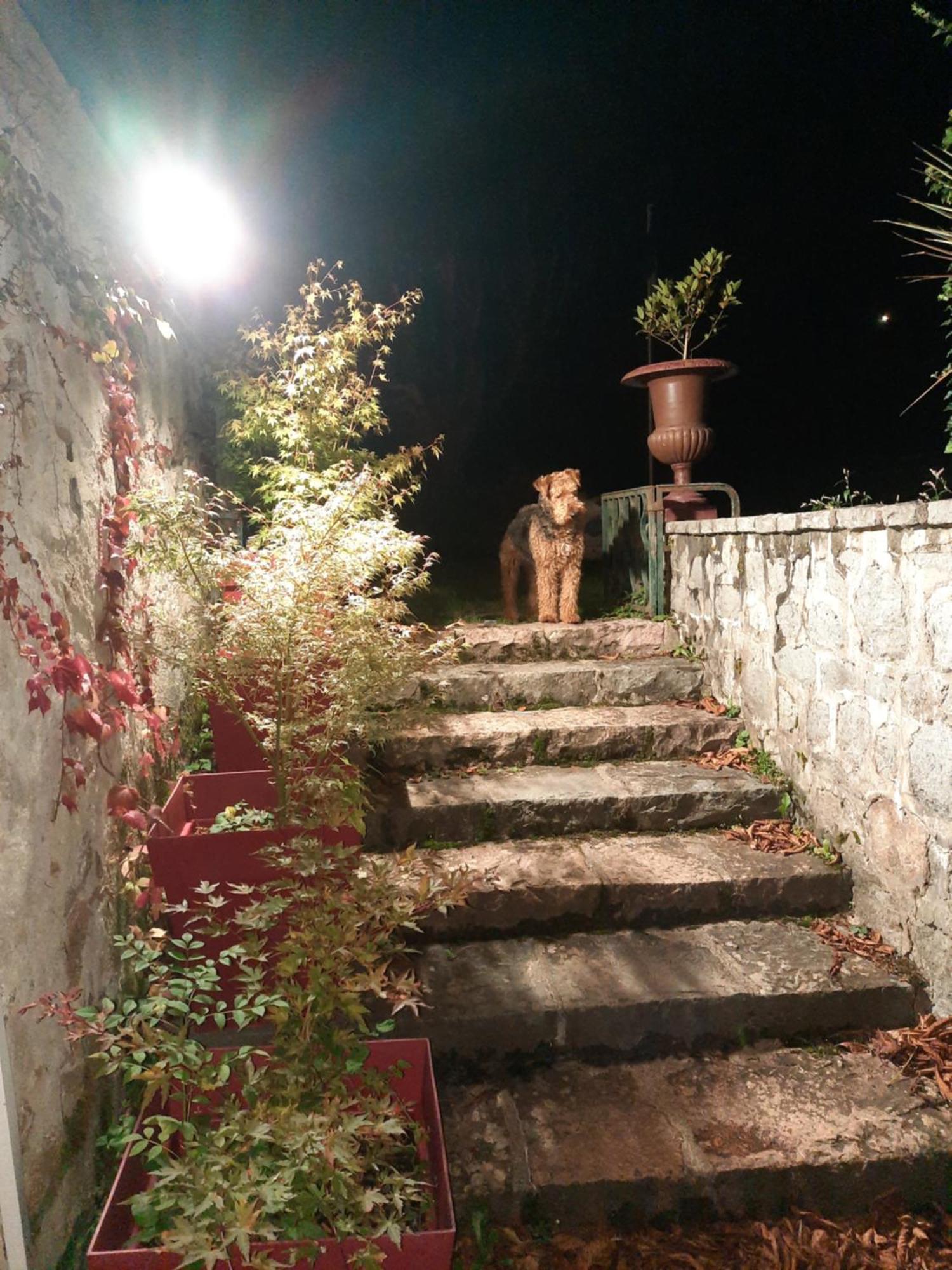Le Clos Des Soyeux Saint-Victor-sur-Rhins Dış mekan fotoğraf